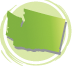 washington-icon